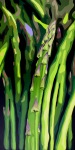 semi-abstract oil painting of asparagus