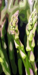 semi abstract painting of asparagus